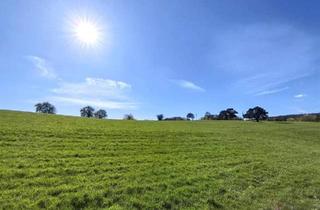 Grundstück zu kaufen in 2384 Breitenfurt bei Wien, Großzügiges Baugrundstück in Aussichtslage am Wienerwaldrand