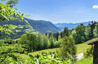 Mehrfamilienhaus kaufen in 9542 Afritz am See, Exklusives Apartmenthaus mit fünf Suiten und über 5 ha Naturfläche