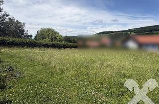 Grundstück zu kaufen in 8355 Tieschen, Leistbare Baugrundstücke in wunderbarer Sonnenlage