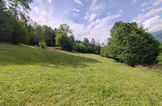 Gewerbeimmobilie kaufen in 9853 Gmünd, Wald-/ und Grünfläche bei Gmünd