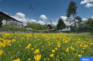 Grundstück zu kaufen in 9991 Dölsach, Natur Genießen. Zuhause Schaffen.