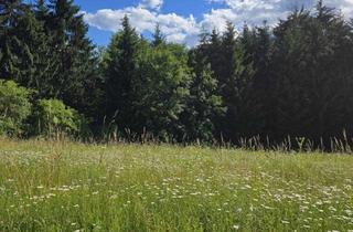 Grundstück zu kaufen in 8551 Wies, Der Perfekte Grundstein Für ihr Zuhause - Ruhig Gelegenes Baugrundstück mit Idealer Ausrichtung in Steyeregg