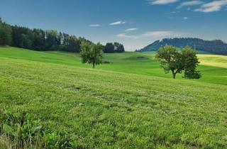 Grundstück zu kaufen in 8792 Sankt Peter-Freienstein, Ihr Platz an der Sonne: Exponierte Aussichtslage Eingebettet in Traumhafter Idyllischer Wiesenlandschaft