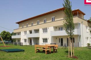 Wohnung mieten in Forstinger Straße 2/7, 4600 Schleißheim, Tolle 2-Zimmer Wohnung in Schleißheim mit Loggia und Carport-Abstellplatz
