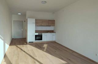 Wohnung mieten in 4050 Traun, Privat zu vermieten: Geräumige Garconniere mit Balkon
