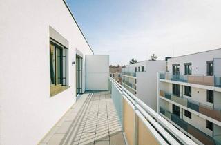 Wohnung mieten in 2000 Stockerau, AB ca. AUGUST/September 2026 /Moderne und sonnige 2 Zimmerwohnung mit Loggia-eventuell schon früher frei!