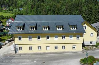 Wohnung kaufen in 3293 Lunz am See, Eigentum in Lunz am See – frisch renoviert, Einzug ab Sommer 2026