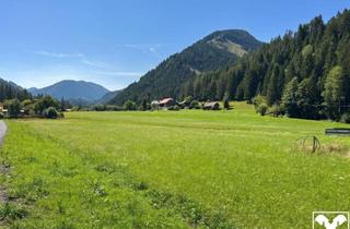 Grundstück zu kaufen in 9714 Stockenboi, Ebenes Baugrundstück in Stockenboi nahe dem malerischen Weißensee
