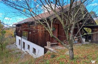Haus kaufen in 2103 Langenzersdorf, Bergidyll am Bisamberg | unverbaubarer Blick | ca. 140 m2 Wohnfläche | ca. 1792 m2 Grundstück | Weinkeller | Badezimmer mit Sauna | Zufahrt über Straße möglich