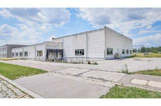 Büro zu mieten in 1210 Wien, Halle mit 700qm Nutzfläche und Nebenräume in 1210 Wien ? ideal für Lager, Produktion und Logistik