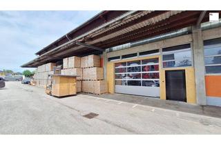 Büro zu mieten in Salzburger Straße, 5303 Thalgau, Ihr neuer Standort in Thalgau! BÜRO`s / HALLEN / LAGER - mietbare Flächen