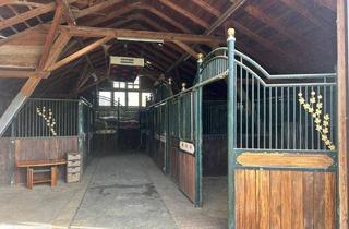 Gewerbeimmobilie kaufen in 2852 Hochneukirchen, Exklusiver Pferdehof mit 2 Wohneinheiten, Reithalle & großem Grund in Hochneukirchen