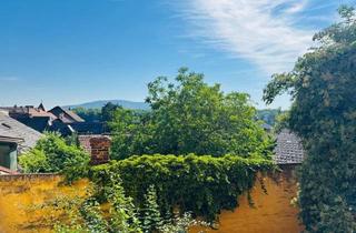 Wohnung mieten in Rathausplatz, 3400 Klosterneuburg, Ruhige, Zentrale Wohnung mit Weitblick