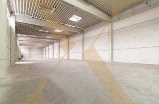 Gewerbeimmobilie mieten in 4600 Wels, Optimale Betriebsliegenschaft mit Lagerhallen inkl. Rolltore zu vermieten!