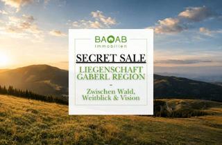 Haus kaufen in 8591 Maria Lankowitz, SECRET SALE | Großzügige Liegenschaft mit Entwicklungspotenzial in der Gaberl-Region