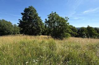 Grundstück zu kaufen in 7551 Stegersbach, Provisionsfrei - Bauplatz - Stegersbach