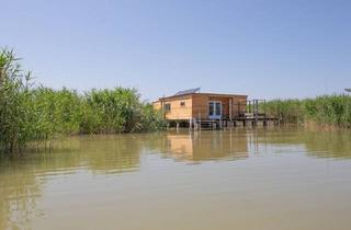 Haus kaufen in 7071 Rust, Flachdachhütte in traumhaft ruhiger Lage am offenen See