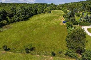 Gewerbeimmobilie mieten in 2392 Sulz im Wienerwald, EIN VERBORGENES NATURPARADIES VOR DEN TOREN WIENS – CA. 2 HA WIESE, WALD & TEICH ZUR PACHT