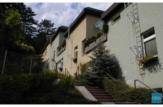 Maisonette mieten in Sonnleiten WE 7, 2754 Waldegg, 2-Zimmermaisonettewohnung mit Terrasse
