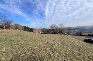 Grundstück zu kaufen in 8461 Ehrenhausen, Baugrundstück an der Weinstraße zu verkaufen - unverbaubarer Ausblick!