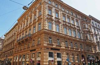 Büro zu mieten in Seilerstätte, 1010 Wien, SEILERSTÄTTE | vielseitig nutzbare Souterrain-/Kellerfläche in guter Innenstadtlage | renovierungsbedürftig