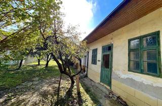 Haus kaufen in 2062 Seefeld, Großzügiges Gartengrundstück mit Altbestand, Brunnen und Obstbäumen – Ihr Rückzugsort im Grünen!