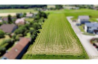 Grundstück zu kaufen in 3062 Kirchstetten, ***Vom Traum zum Eigenheim! Sonniges Baugrundstück in Kirchstetten***