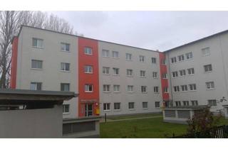 Wohnung mieten in Ausstellungsgasse 8/1/3, 2700 Wiener Neustadt, Wr. Neustadt | Geförderte Gartenwohnung in Miete mit Kaufoption | Top 2/3 | EG mit Garten