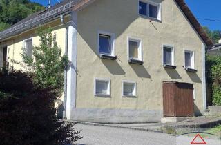 Haus kaufen in 4085 Wesenufer, Besonders günstiges Angebot - Kleineres, gemütliches Haus nähe Schlögener Schlinge
