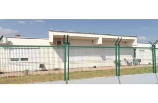 Büro zu mieten in Neuteilung 3-5, 2425 Nickelsdorf, Gewerbeimmobilie