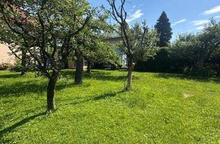 Einfamilienhaus kaufen in 8052 Graz, Hier beginnt Ihr neues Kapitel im Grünen: Wohnen, wo Obstbäume blühen und Wohnträume wachsen