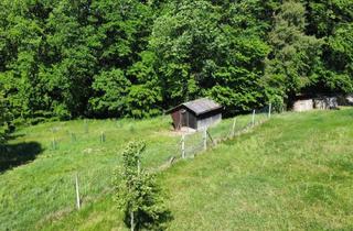 Immobilie kaufen in 8345 Straden, Sonnige Landwirtschaftsfläche mit Vielseitigem Potenzial - Ideal Für Tierhaltung & Naturprojekte