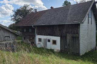 Grundstück zu kaufen in Doppl 5, 4742 Pram, Landwirtschaftliches Grundstück mit Bestandsobjekt (Derzeit nicht Bewohnbar) in Pram