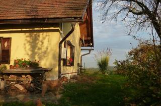 Haus kaufen in In Slowenien, 8490 Bad Radkersburg, In Slowenien Authentisches Kellerstöckl mit Weinberg in Slowenien!