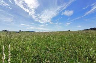Grundstück zu kaufen in 3913 Engelbrechts, Grundstück mit Zukunftspotenzial im Waldviertel – 2.099 m² in Sprögnitz bei Zwettl