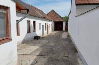 Einfamilienhaus kaufen in 2074 Kleinhöflein, Einfamilienhaus in Ruhelage mit Weinkeller und Schuppen zu verkaufen!