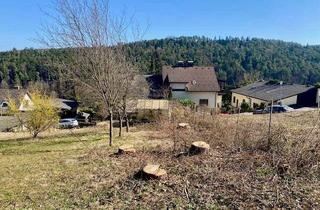Grundstück zu kaufen in 2822 Walpersbach, Ruhig, grün und sonnig! Schöner Baugrund Nähe Bad Erlach