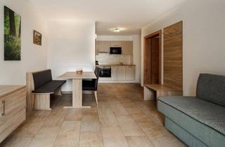 Wohnung kaufen in 6365 Kirchberg in Tirol, Kompaktes Alpen-Appartement mit touristischem Potenzial (06745)