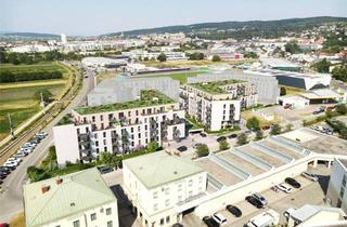 Wohnung kaufen in Zielgerade, 7000 Eisenstadt, ZIELGERADE Eisenstadt Tür 84 - Anlegerwohnung mit Vertriebsservice, nur EUR 189.000 netto