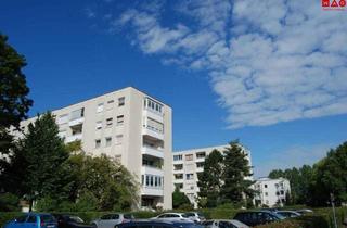 Wohnung mieten in Schiffmannstraße, 4020 Linz, Gut geschnittene 2-Zimmer-Wohnung mit dem Vorteil einer praktische Raumaufteilung und bequemer Erreichbarkeit durch einen Lift! AKTUELL IN SANIERUNG FOTOS FOLGEN!