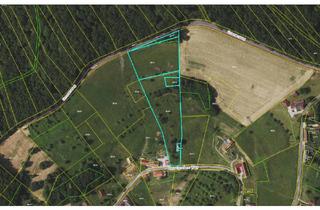 Grundstück zu kaufen in 8382 Mogersdorf, Traumhaftes Sonnengrundstück mit Panoramablick in Mogersdorf – Ihr Platz für Freiheit, Natur und neue Lebensideen