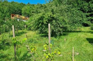 Grundstück zu kaufen in 3021 Pressbaum, "NEUER PREIS!" AN DER SONNENSEITE AM WALDRAND!