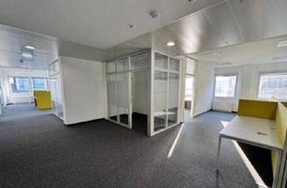 Büro zu mieten in Hafenstraße, 4020 Linz, 4020, Winterhafen / Moderne Büroflächen in Linz Zentrum - 2. OG