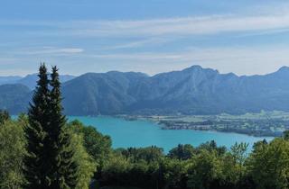 Grundstück zu kaufen in 5310 Innerschwand, Mehr Aussicht. Mehr Ruhe. Mehr Möglichkeit. ein Rückzugsort mit Seltenheitswert am Mondsee.