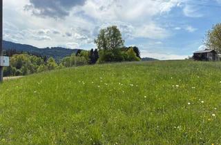 Grundstück zu kaufen in 4861 Aurach am Hongar, Baugrundstück nähe Attersee