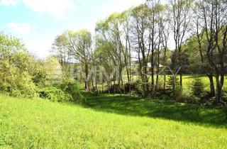 Haus kaufen in 4192 Schenkenfelden, neuwertiger, kompakter Haustraum für Tierliebhaber - großes Grundstück