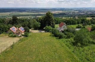 Grundstück zu kaufen in 7471 Rechnitz, Grundstück im Weingebirge Rechnitz (gemischte Kellerzone mit landwirtschaftlicher Fläche)