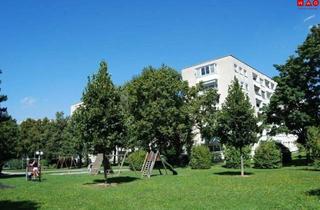Wohnung mieten in Schiffmannstraße 18, 4020 Linz, Erstbezug nach Generalsanierung: 2-Zimmer-Wohnung mit Loggia und Lift in Linz/Oed!