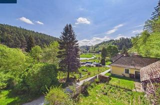 Einfamilienhaus kaufen in 3814 Liebenberg, Einfamilienhaus in Sauggern – Kollmitzgraben | Naturlage mit Blick zur Ruine Kollmitz