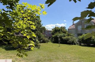 Grundstück zu kaufen in Melker Gasse, 2500 Baden, Ebenes, zentrales Sonnengrundstück in Baden